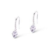 Crystal Dangle Fish Hook Earrings